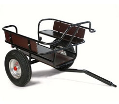 Dino Roman Wagon