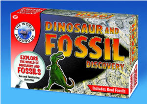 Dinosaur & Fossil Discovery