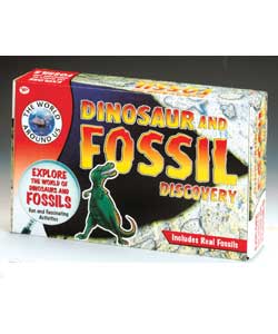 Contains real fossils, including an actual dinosau
