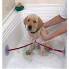 This great NEW restraint was designed just for puppies, small dogs, cats and ferrets. Keeps pets saf