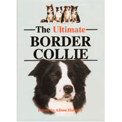 Unbranded DISC The Ultimate Border Collie