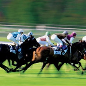 Unbranded Discover Horse Racing Experience for Two