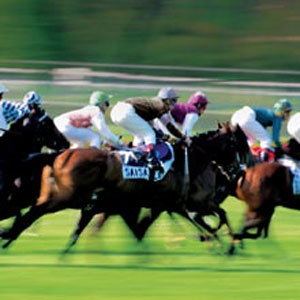 Unbranded Discover Horse Racing Experience