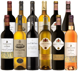 Unbranded Discover Portugal - Mixed case