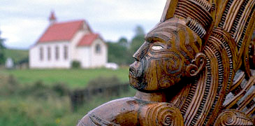 Unbranded Discover Rotorua