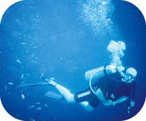 Unbranded Discovering Scuba Experience Day