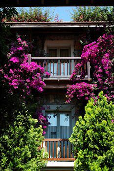 Unbranded Divan Bodrum