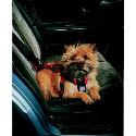 Dog Car Harness (Medium)
