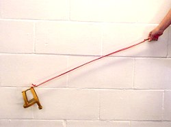 Dog Lead - Invisible dog