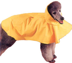 Dog Slicker