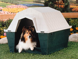 Dogloo House - Ruff Hauz - Large