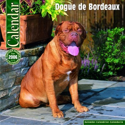 Dogue de Bordeaux Calendar