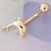 DOLPHIN BODY STUD