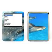 Dolphin Lapjacks Skin For New iPod Nano