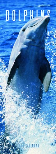 Dolphins - SLIM 2006 calendar