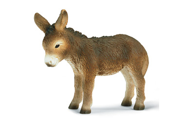 Unbranded Donkey Foal