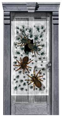 Door Gore - Spider Swarm