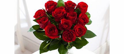 Unbranded Dozen Freedom Roses