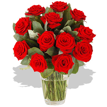 Unbranded Dozen Luxurious Red Roses - flowers
