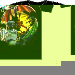 Dragon Duel T-Shirt