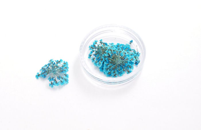 Unbranded Dried flower blue
