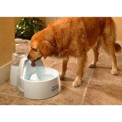 This is the larger version of the very popular Drinkwell Pet Fountain - and as the name suggests is 
