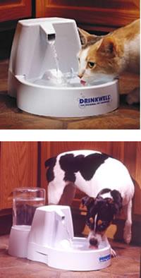Drinkwell water fountain system  ideal for single smaller dogs 