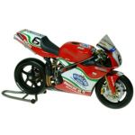 Ducati 998RS 2002 Michael Rutter