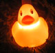 Duck Party Lights