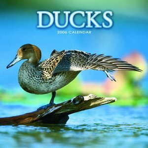 Ducks 2006 calendar