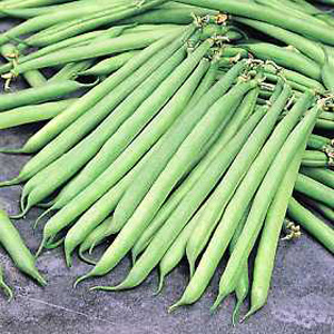Unbranded Dwarf Bean Opera Seeds