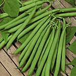 Unbranded Dwarf French Bean Canzone Seeds 431047.htm