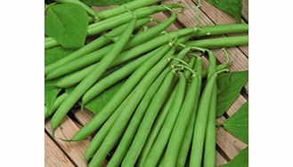 Unbranded Dwarf French Bean Canzone Seeds