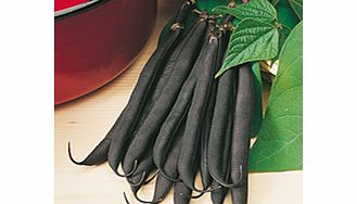 Unbranded Dwarf French Bean Purple Teepee Seeds