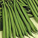 Unbranded Dwarf French Bean Stanley Seeds 431065.htm