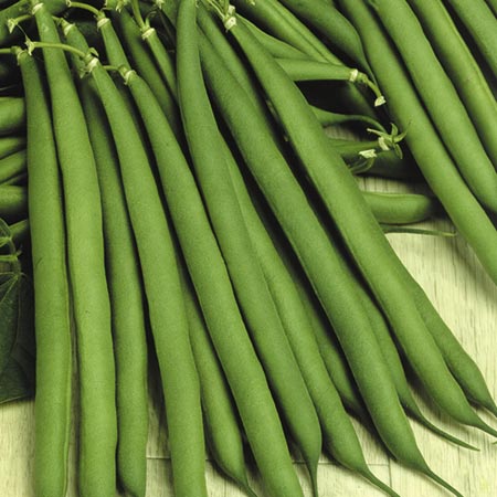 Unbranded Dwarf French Bean Stanley Seeds Average Seeds 150
