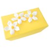 Unbranded E-Choc Gift (Huge) in ``Sunshine Daisy`` Gift Wrap