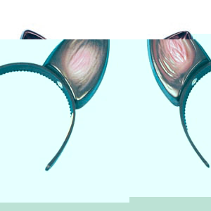 Unbranded Ears on Headband, cat