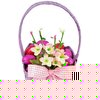 Unbranded Easter Basket (36 Choc) in ``Apple Blossom`` Style