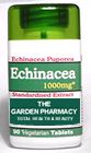 Echinacea, the purple coneflower, is the best know