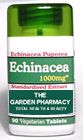 Echinacea, the purple coneflower, is the best know