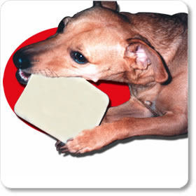 This attractive (to some) card is made of delectable rawhide and comes with an inedible