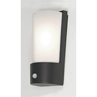 Unbranded ELAZ/LE7PIR - Dark Grey Outdoor Sensor Light
