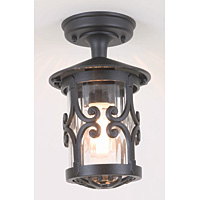Unbranded ELBL13A - Black Outdoor Ceiling Light
