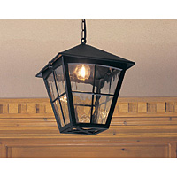 Unbranded ELBL38 - Black Outdoor Ceiling Light