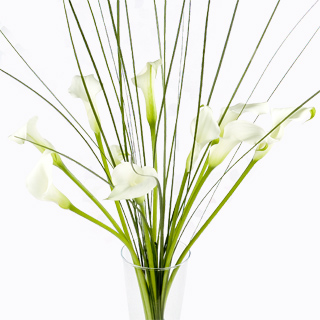 Unbranded Elegant Welcome