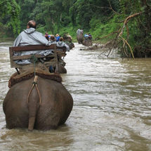 The adventurous will enjoy this wonderful experience that combines an elephant trek through the Thai