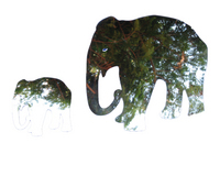 Unbranded Elephant Shaped Kids Wall Mirrors