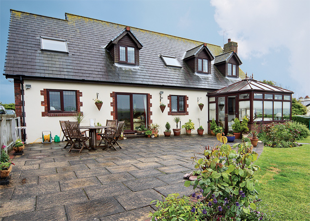 Unbranded Ellens Green