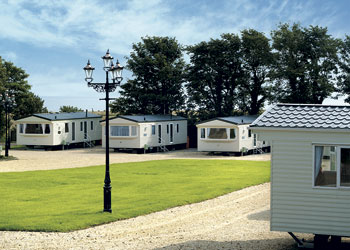 Unbranded Elm 3 Caravan Holiday Park